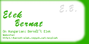 elek bernat business card